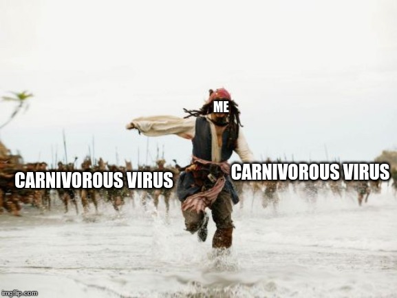 Jack Sparrow Being Chased | ME; CARNIVOROUS VIRUS; CARNIVOROUS VIRUS | image tagged in memes,jack sparrow being chased | made w/ Imgflip meme maker