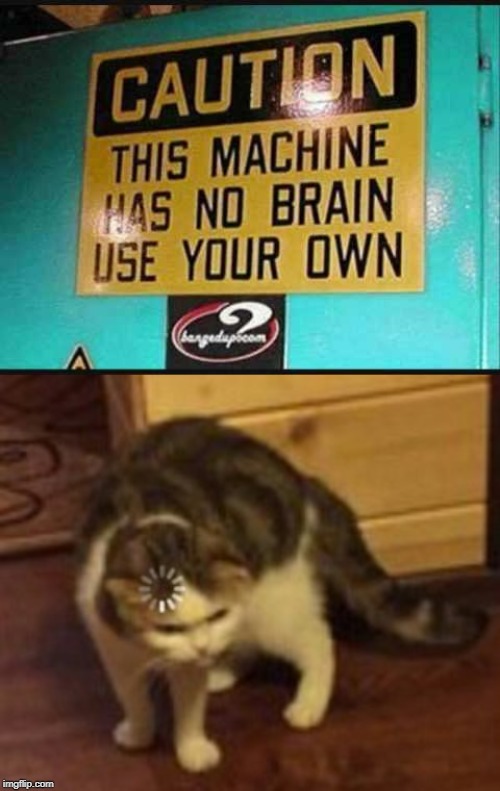 Dang | image tagged in loading cat,memes,funny,funny signs | made w/ Imgflip meme maker