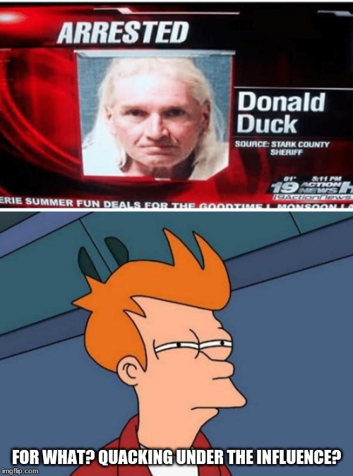 donald duck funny meme