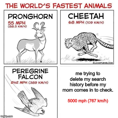 the world's fastest animals Memes & GIFs - Imgflip