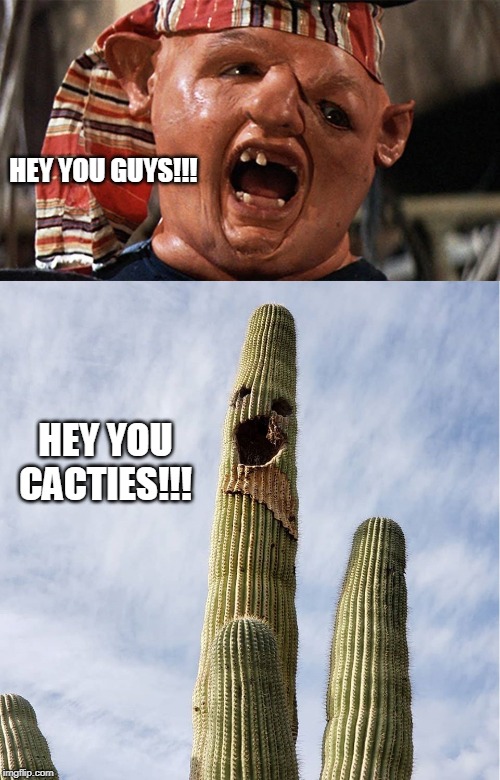 Cactus Sloth |  HEY YOU GUYS!!! HEY YOU CACTIES!!! | image tagged in sloth,memes,goonies,sloth goonies,cactus,the goonies | made w/ Imgflip meme maker