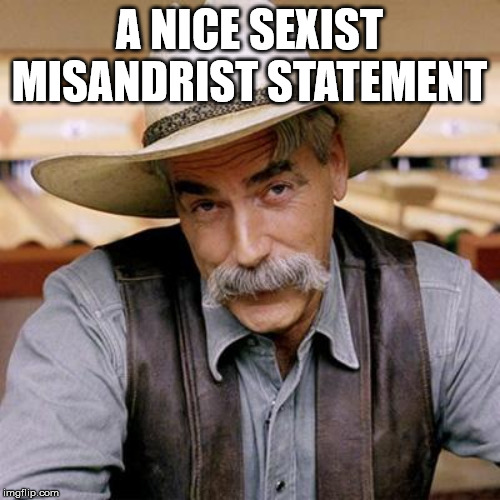 SARCASM COWBOY | A NICE SEXIST MISANDRIST STATEMENT | image tagged in sarcasm cowboy | made w/ Imgflip meme maker