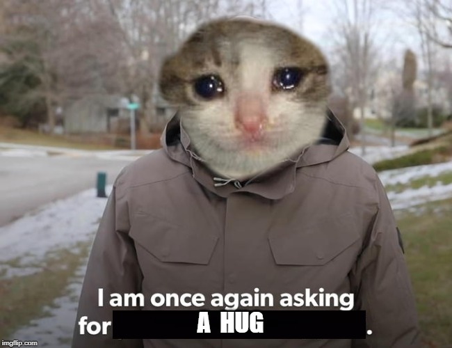 A  HUG | image tagged in funny memes,depression,cats | made w/ Imgflip meme maker
