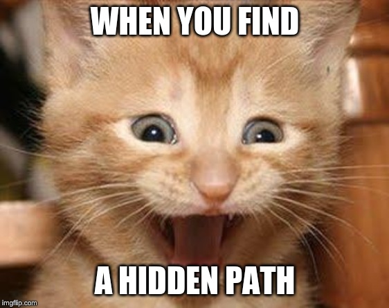 Excited Cat | WHEN YOU FIND; A HIDDEN PATH | image tagged in memes,excited cat | made w/ Imgflip meme maker