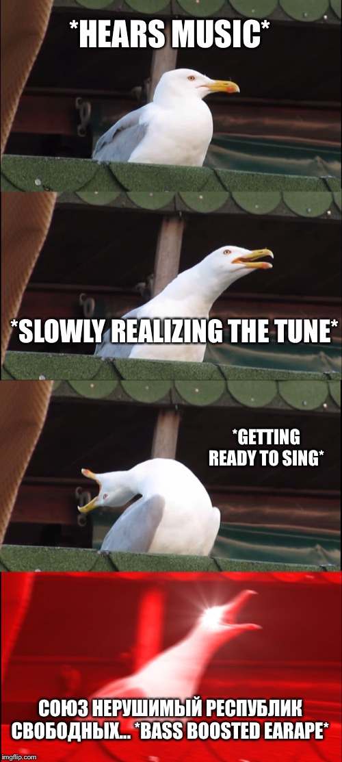 Inhaling Seagull Meme | *HEARS MUSIC*; *SLOWLY REALIZING THE TUNE*; *GETTING READY TO SING*; СОЮЗ НЕРУШИМЫЙ РЕСПУБЛИК СВОБОДНЫХ... *BASS BOOSTED EARAPE* | image tagged in memes,inhaling seagull | made w/ Imgflip meme maker