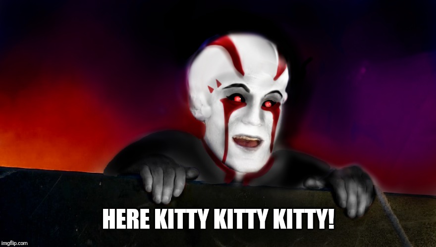 HERE KITTY KITTY KITTY! | made w/ Imgflip meme maker