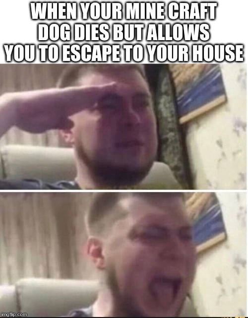 Crying salute | WHEN YOUR MINE CRAFT DOG DIES BUT ALLOWS YOU TO ESCAPE TO YOUR HOUSE | image tagged in crying salute | made w/ Imgflip meme maker