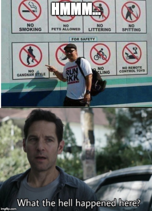 Hmmm... | HMMM... | image tagged in what the hell happened here | made w/ Imgflip meme maker