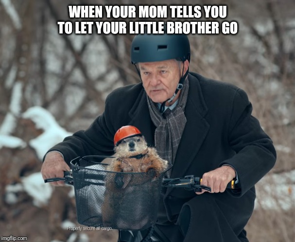 WHEN YOUR MOM TELLS YOU TO LET YOUR LITTLE BROTHER GO | image tagged in safety first | made w/ Imgflip meme maker