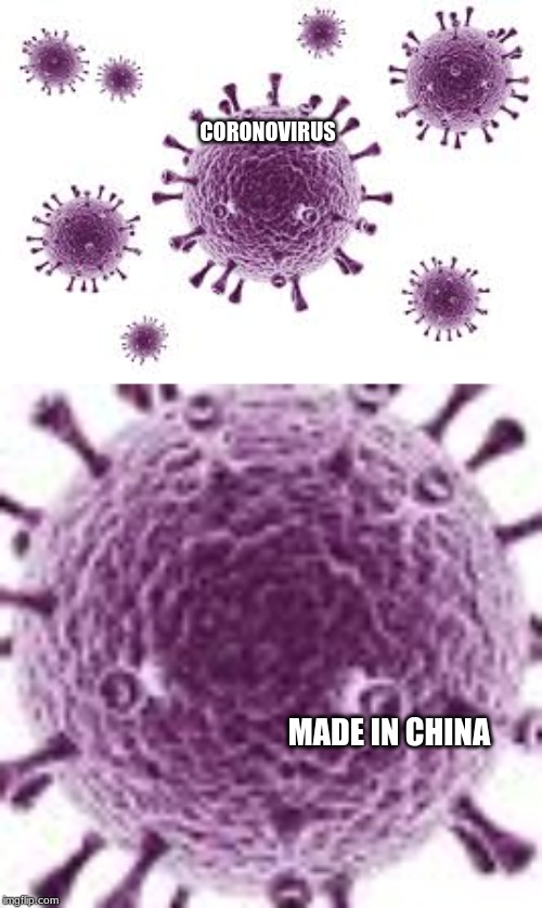 CORONOVIRUS; MADE IN CHINA | image tagged in coronavirus | made w/ Imgflip meme maker