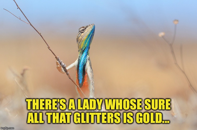 Lizard | THERE’S A LADY WHOSE SURE ALL THAT GLITTERS IS GOLD... | image tagged in lizard | made w/ Imgflip meme maker