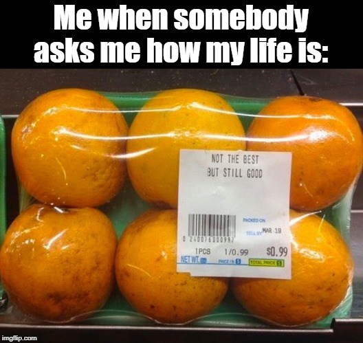 Not the best, but still good. | Me when somebody asks me how my life is: | image tagged in not the best but still good,orange,life | made w/ Imgflip meme maker