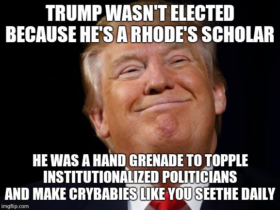 Smug Trump | TRUMP WASN'T ELECTED BECAUSE HE'S A RHODE'S SCHOLAR HE WAS A HAND GRENADE TO TOPPLE INSTITUTIONALIZED POLITICIANS AND MAKE CRYBABIES LIKE YO | image tagged in smug trump | made w/ Imgflip meme maker