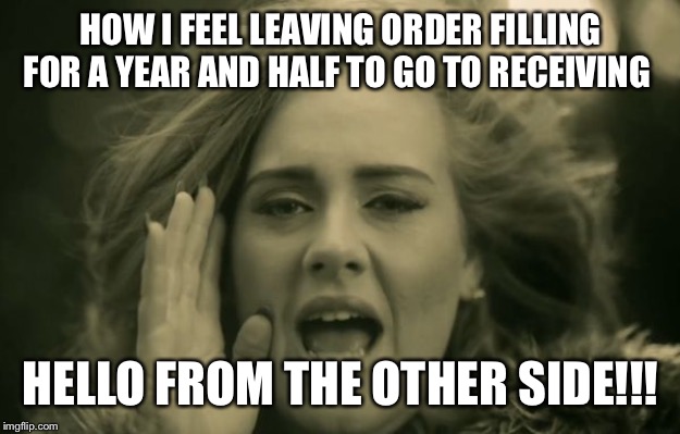 adele hello | HOW I FEEL LEAVING ORDER FILLING FOR A YEAR AND HALF TO GO TO RECEIVING; HELLO FROM THE OTHER SIDE!!! | image tagged in adele hello | made w/ Imgflip meme maker