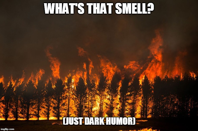 Dark humor | WHAT'S THAT SMELL? (JUST DARK HUMOR) | image tagged in funny,memes,funny memes | made w/ Imgflip meme maker