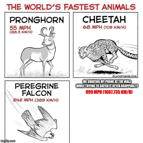 The world's fastest animals | ME SWATING MY PHONE AT THE WALL WHILE TRYING TO CATCH IT AFTER DROPPING IT; 999 MPH (1607.735 KM/H) | image tagged in the world's fastest animals | made w/ Imgflip meme maker