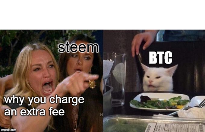 Woman Yelling At Cat Meme | steem; BTC; why you charge an extra fee | image tagged in memes,woman yelling at cat | made w/ Imgflip meme maker