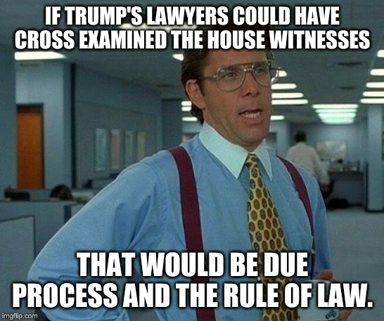 That Would Be Great Meme | IF TRUMP'S LAWYERS COULD HAVE CROSS EXAMINED THE HOUSE WITNESSES THAT WOULD BE DUE PROCESS AND THE RULE OF LAW. | image tagged in memes,that would be great | made w/ Imgflip meme maker
