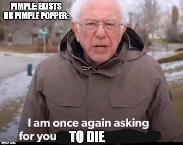 bernie sanders financial support | PIMPLE: EXISTS
DR PIMPLE POPPER:; TO DIE | image tagged in bernie sanders financial support | made w/ Imgflip meme maker