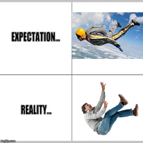 Skydiving... | image tagged in expectation vs reality | made w/ Imgflip meme maker