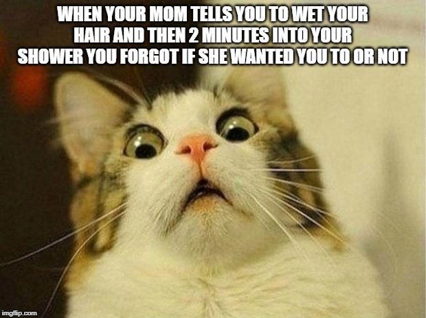 Scared Cat Meme | WHEN YOUR MOM TELLS YOU TO WET YOUR HAIR AND THEN 2 MINUTES INTO YOUR SHOWER YOU FORGOT IF SHE WANTED YOU TO OR NOT | image tagged in memes,scared cat | made w/ Imgflip meme maker
