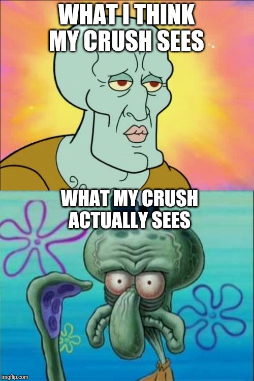 Squidward Meme | WHAT I THINK MY CRUSH SEES; WHAT MY CRUSH ACTUALLY SEES | image tagged in memes,squidward | made w/ Imgflip meme maker