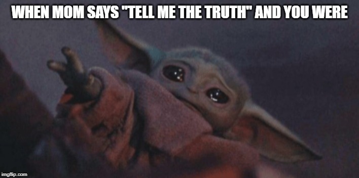 Baby yoda cry | WHEN MOM SAYS "TELL ME THE TRUTH" AND YOU WERE | image tagged in baby yoda cry | made w/ Imgflip meme maker
