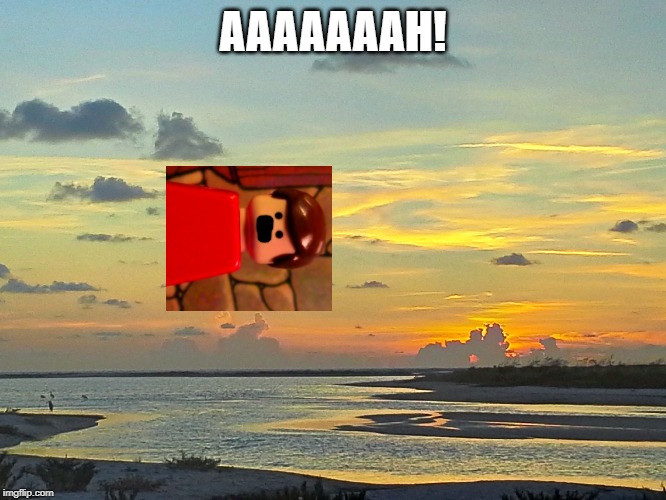 tide river sunset | AAAAAAAH! | image tagged in tide river sunset | made w/ Imgflip meme maker