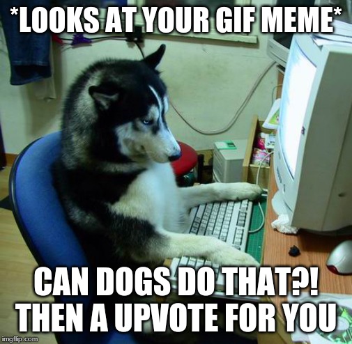 I Have No Idea What I Am Doing Meme | *LOOKS AT YOUR GIF MEME* CAN DOGS DO THAT?! THEN A UPVOTE FOR YOU | image tagged in memes,i have no idea what i am doing | made w/ Imgflip meme maker