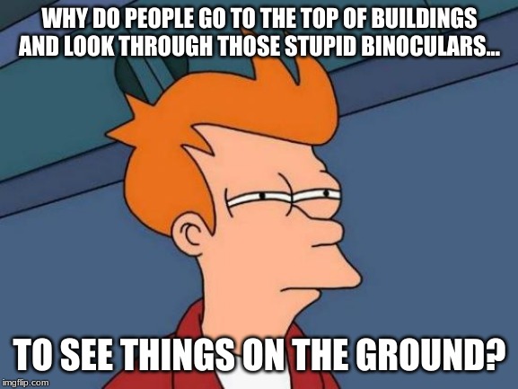 Futurama Fry | WHY DO PEOPLE GO TO THE TOP OF BUILDINGS AND LOOK THROUGH THOSE STUPID BINOCULARS... TO SEE THINGS ON THE GROUND? | image tagged in memes,futurama fry | made w/ Imgflip meme maker
