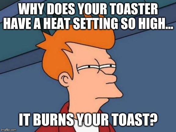 Futurama Fry | WHY DOES YOUR TOASTER HAVE A HEAT SETTING SO HIGH... IT BURNS YOUR TOAST? | image tagged in memes,futurama fry | made w/ Imgflip meme maker