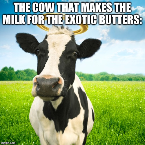 IT’S HOLY | THE COW THAT MAKES THE MILK FOR THE EXOTIC BUTTERS: | image tagged in holy cow | made w/ Imgflip meme maker