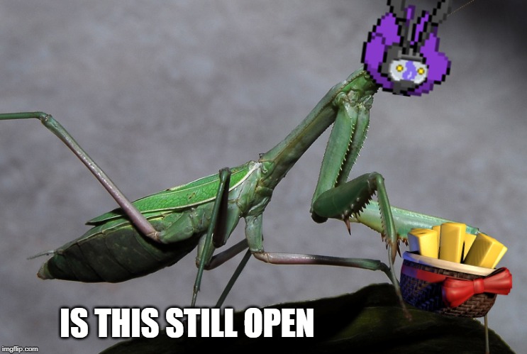 IS THIS STILL OPEN | made w/ Imgflip meme maker