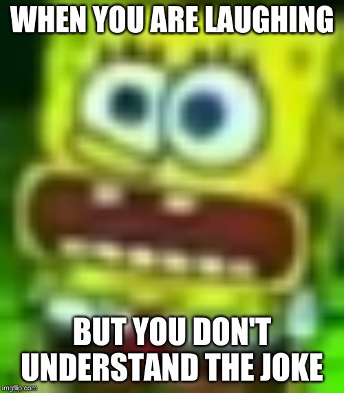 LOL |  WHEN YOU ARE LAUGHING; BUT YOU DON'T UNDERSTAND THE JOKE | image tagged in oof | made w/ Imgflip meme maker