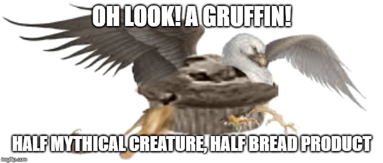 Gruffin | OH LOOK! A GRUFFIN! HALF MYTHICAL CREATURE, HALF BREAD PRODUCT | image tagged in griffin,muffin,gruffin | made w/ Imgflip meme maker