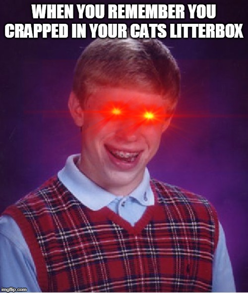 Bad Luck Brian | WHEN YOU REMEMBER YOU CRAPPED IN YOUR CATS LITTERBOX | image tagged in memes,bad luck brian | made w/ Imgflip meme maker