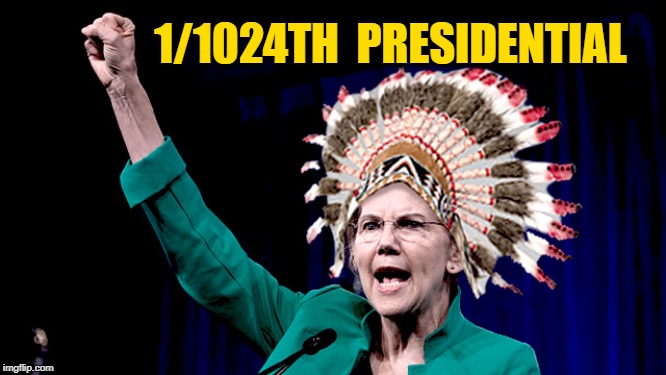 1/1024th Presidential | 1/1024TH  PRESIDENTIAL | image tagged in elizabeth warren,fake indian,liberals,democrats | made w/ Imgflip meme maker
