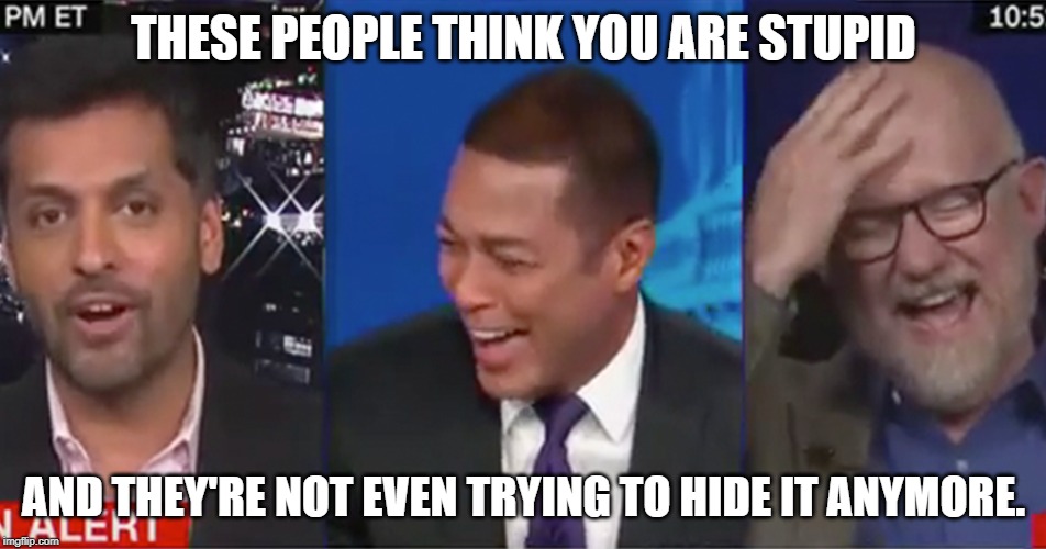 Lemon Wilson Laughing | THESE PEOPLE THINK YOU ARE STUPID; AND THEY'RE NOT EVEN TRYING TO HIDE IT ANYMORE. | image tagged in lemon wilson laughing | made w/ Imgflip meme maker