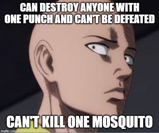 CAN DESTROY ANYONE WITH ONE PUNCH AND CAN'T BE DEFEATED; CAN'T KILL ONE MOSQUITO | image tagged in sad but true | made w/ Imgflip meme maker