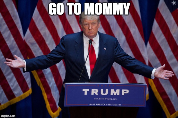 Donald Trump | GO TO MOMMY | image tagged in donald trump | made w/ Imgflip meme maker