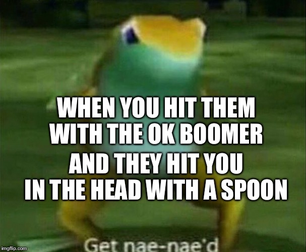 Get nae-nae'd | WHEN YOU HIT THEM WITH THE OK BOOMER; AND THEY HIT YOU IN THE HEAD WITH A SPOON | image tagged in get nae-nae'd | made w/ Imgflip meme maker