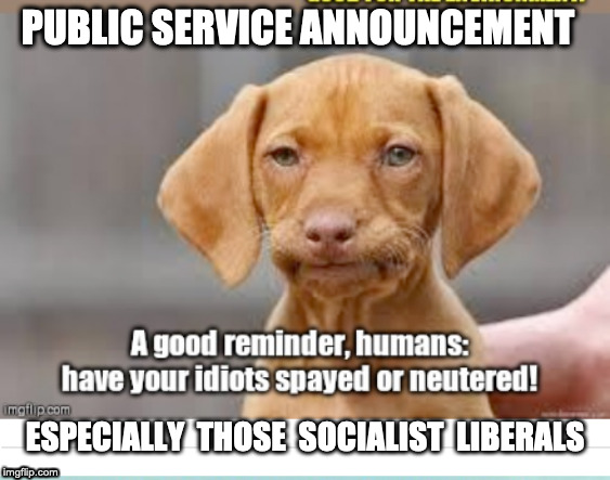 Vapor Phil Says | PUBLIC SERVICE ANNOUNCEMENT; ESPECIALLY  THOSE  SOCIALIST  LIBERALS | image tagged in socialists,liberals,democratic socialism,funny memes,funny because it's true | made w/ Imgflip meme maker