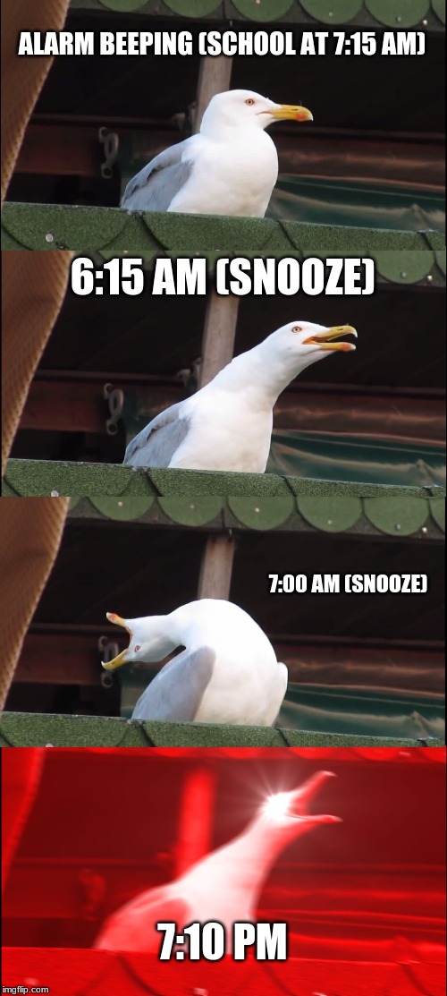 Inhaling Seagull Meme | ALARM BEEPING (SCHOOL AT 7:15 AM); 6:15 AM (SNOOZE); 7:00 AM (SNOOZE); 7:10 PM | image tagged in memes,inhaling seagull | made w/ Imgflip meme maker