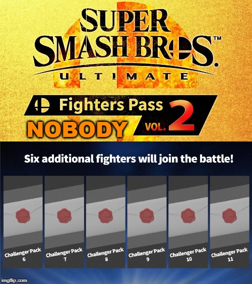 sounds about right | NOBODY | image tagged in fighters pass vol 2,super smash bros,dlc,nobody | made w/ Imgflip meme maker