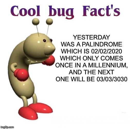 Cool Bug Facts | YESTERDAY WAS A PALINDROME WHICH IS 02/02/2020 WHICH ONLY COMES ONCE IN A MILLENNIUM, AND THE NEXT ONE WILL BE 03/03/3030 | image tagged in cool bug facts | made w/ Imgflip meme maker