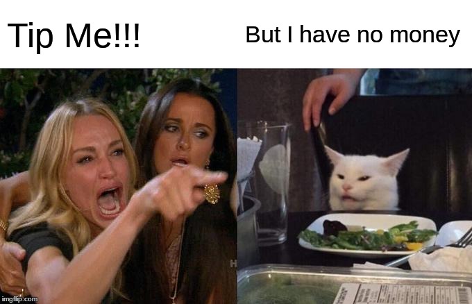 Woman Yelling At Cat Meme | Tip Me!!! But I have no money | image tagged in memes,woman yelling at cat | made w/ Imgflip meme maker