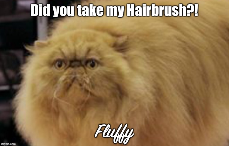 Did you take my Hairbrush?! Fluffy | made w/ Imgflip meme maker