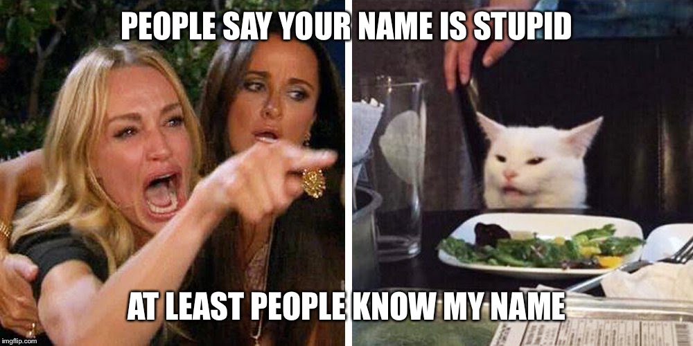 Smudge the cat | PEOPLE SAY YOUR NAME IS STUPID; AT LEAST PEOPLE KNOW MY NAME | image tagged in smudge the cat | made w/ Imgflip meme maker