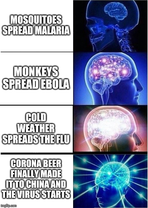 Expanding Brain | MOSQUITOES SPREAD MALARIA; MONKEYS SPREAD EBOLA; COLD WEATHER SPREADS THE FLU; CORONA BEER FINALLY MADE IT TO CHINA AND THE VIRUS STARTS | image tagged in memes,expanding brain | made w/ Imgflip meme maker