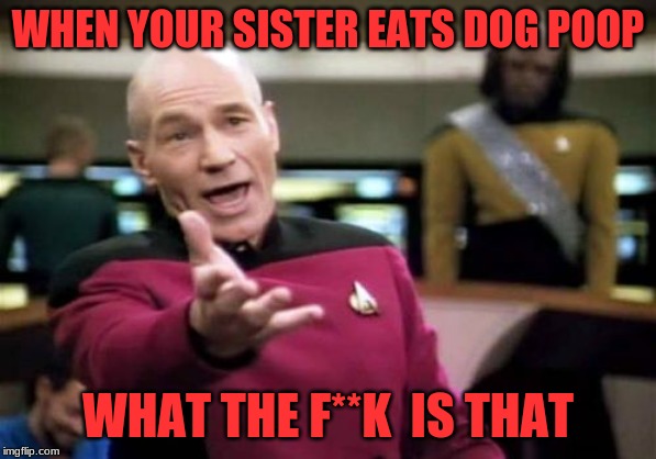Picard Wtf | WHEN YOUR SISTER EATS DOG POOP; WHAT THE F**K  IS THAT | image tagged in memes,picard wtf | made w/ Imgflip meme maker